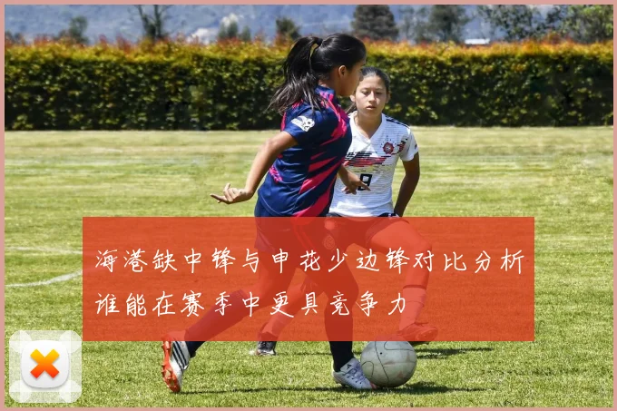 海港缺中锋与申花少边锋对比分析谁能在赛季中更具竞争力