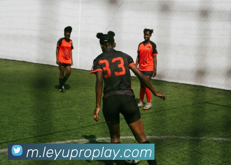 乐鱼体育平台生态图