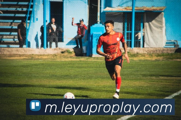 乐鱼体育APP 封面图